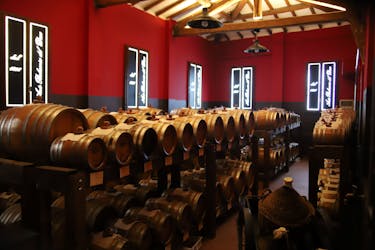 Tasting tour of balsamic vinegar of Modena at Aceto Balsamico del Duca